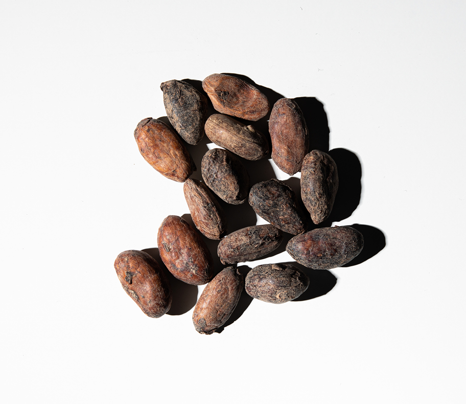 Cocoa Bean  